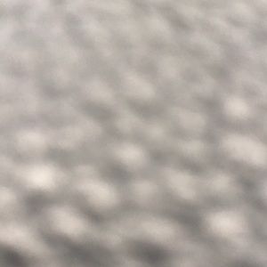 Meet your Posher, Jailene